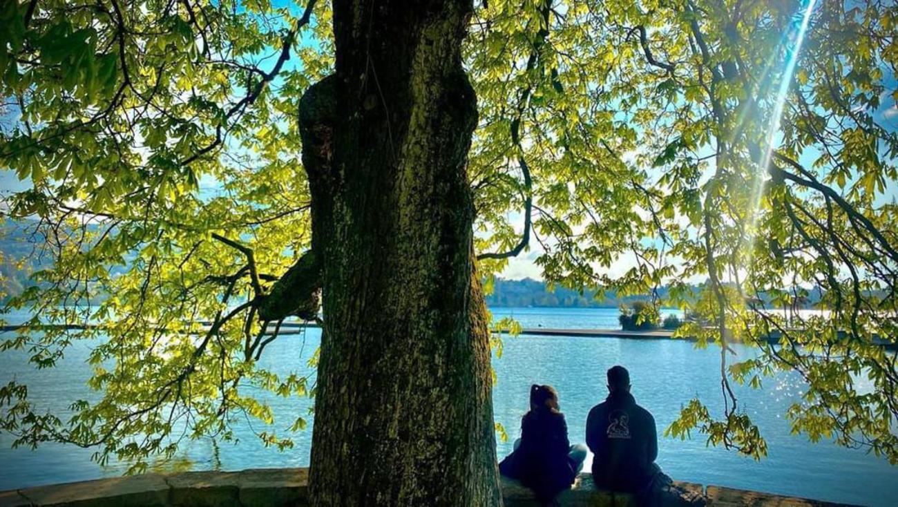 L'Echappee Du 36 - 4 Chambres Dans Le Triangle D'Or A 100M Du Lac, Parking Gratuit Annecy Bagian luar foto